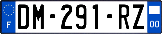 DM-291-RZ