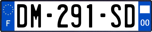 DM-291-SD