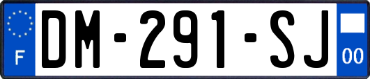 DM-291-SJ