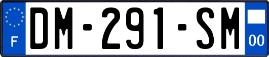DM-291-SM