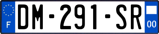 DM-291-SR