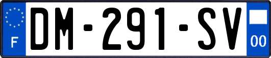 DM-291-SV