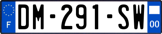 DM-291-SW