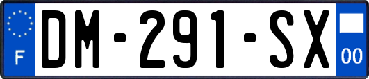 DM-291-SX