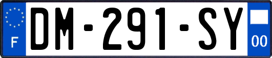DM-291-SY