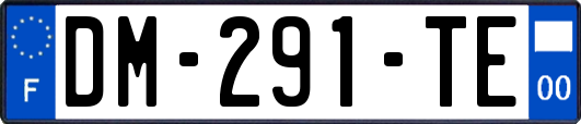 DM-291-TE