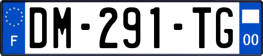 DM-291-TG