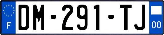 DM-291-TJ
