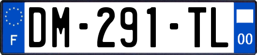 DM-291-TL