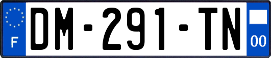 DM-291-TN