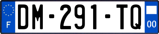 DM-291-TQ