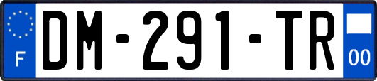 DM-291-TR