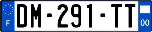 DM-291-TT