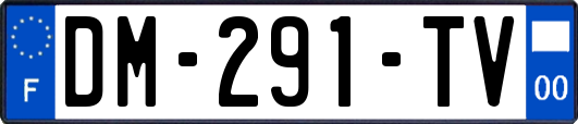 DM-291-TV