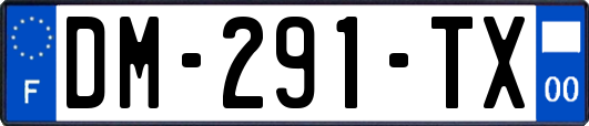 DM-291-TX