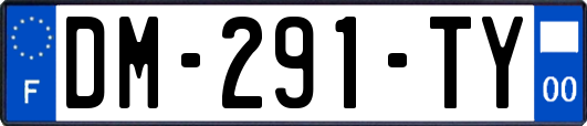 DM-291-TY