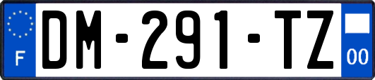 DM-291-TZ