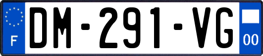 DM-291-VG