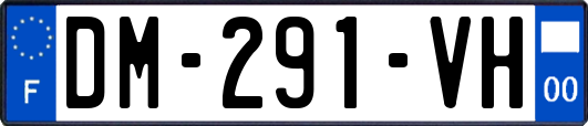 DM-291-VH