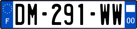 DM-291-WW