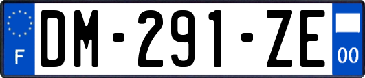 DM-291-ZE