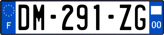 DM-291-ZG