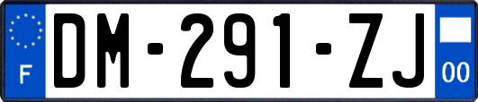 DM-291-ZJ