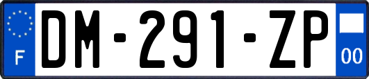 DM-291-ZP