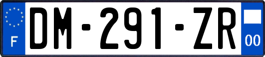 DM-291-ZR