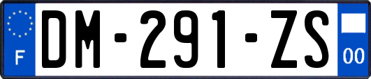 DM-291-ZS