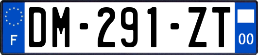 DM-291-ZT