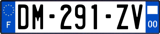 DM-291-ZV