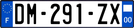 DM-291-ZX