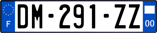 DM-291-ZZ