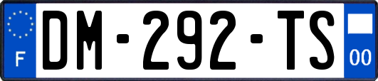 DM-292-TS