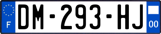 DM-293-HJ