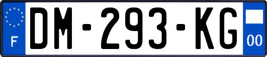 DM-293-KG