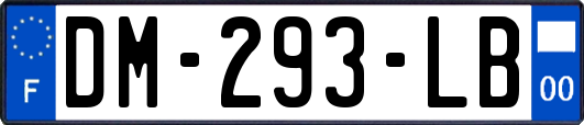 DM-293-LB