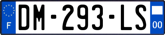 DM-293-LS