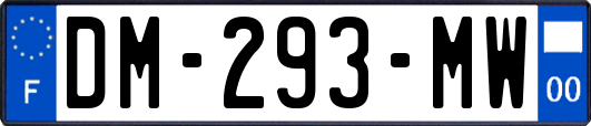 DM-293-MW