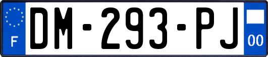 DM-293-PJ