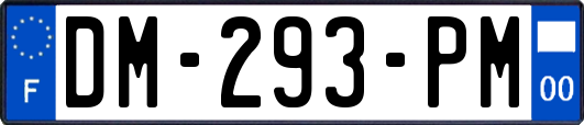 DM-293-PM
