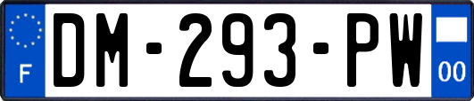 DM-293-PW