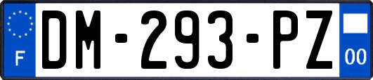 DM-293-PZ