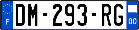 DM-293-RG