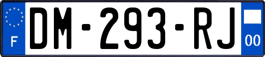 DM-293-RJ