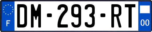DM-293-RT