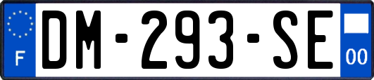 DM-293-SE