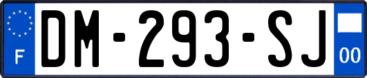 DM-293-SJ