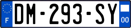 DM-293-SY